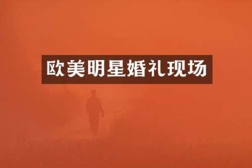 欧美明星婚礼现场