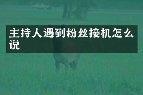 主持人遇到粉丝接机怎么说