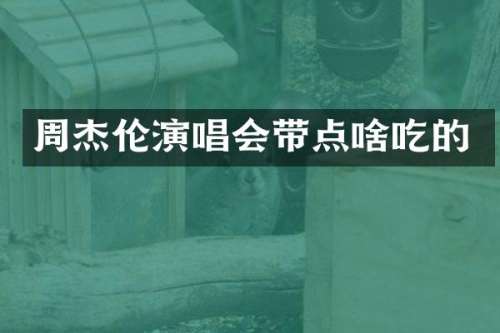 周杰伦演唱会带点啥吃的