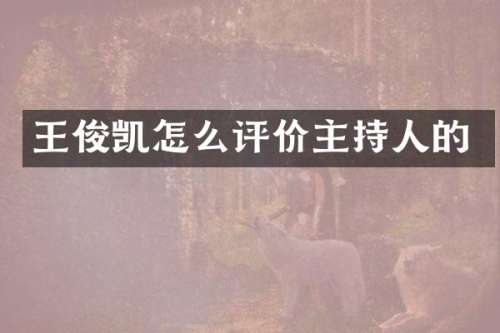 王俊凯怎么评价主持人的