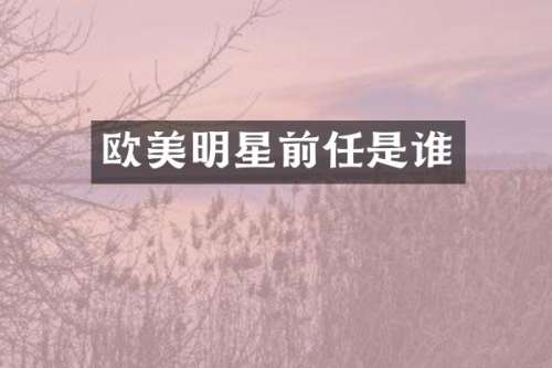 欧美明星前任是谁