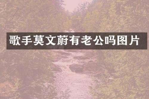 歌手莫文蔚有老公吗图片