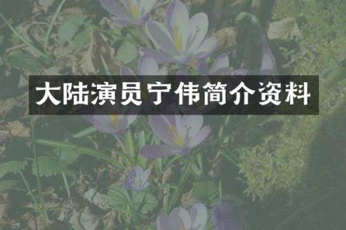 大陆演员宁伟简介资料
