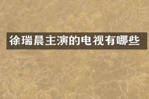 徐瑞晨主演的电视有哪些