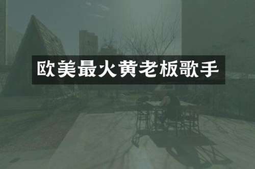 欧美最火黄老板歌手