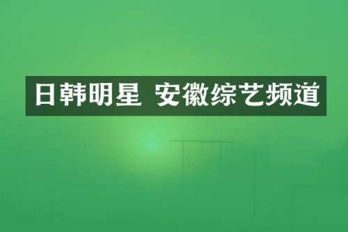日韩明星 安徽综艺频道