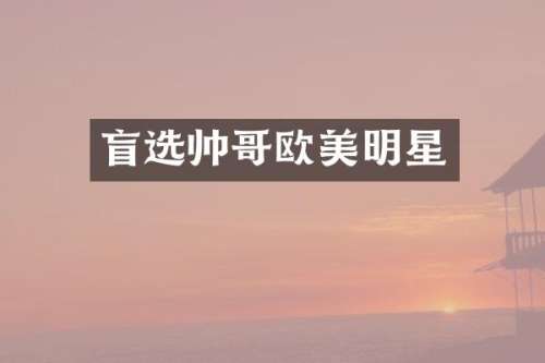 盲选帅哥欧美明星