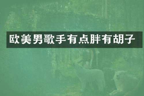 欧美男歌手有点胖有胡子