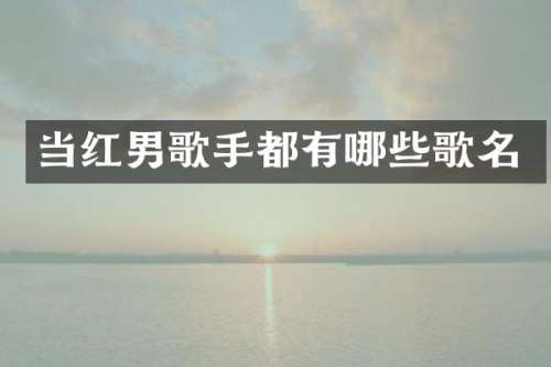 当红男歌手都有哪些歌名