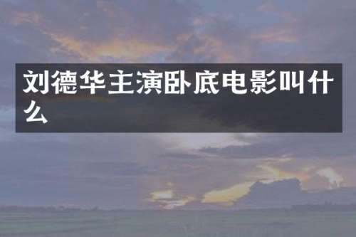 刘德华主演卧底电影叫什么
