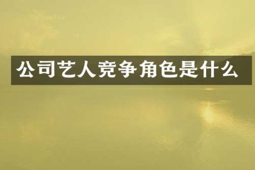 公司艺人竞争角色是什么