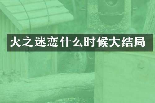 火之迷恋什么时候大结局