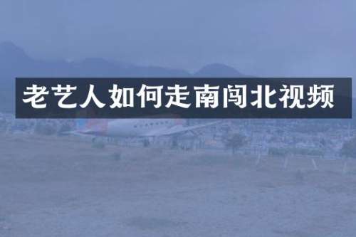 老艺人如何走南闯北视频