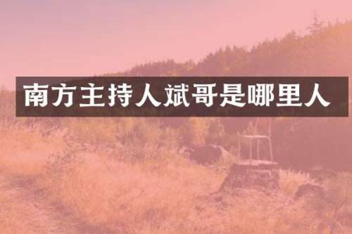 南方主持人斌哥是哪里人