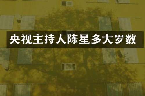 央视主持人陈星多大岁数