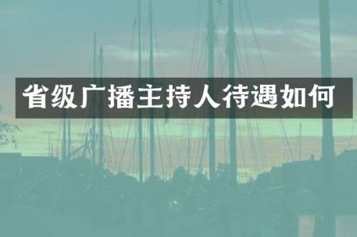 省级广播主持人待遇如何