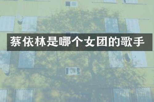 蔡依林是哪个女团的歌手
