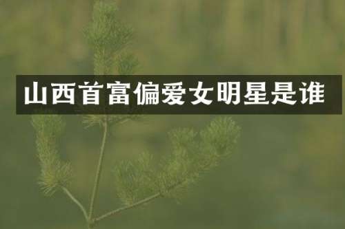 山西首富偏爱女明星是谁