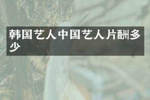 韩国艺人中国艺人片酬多少