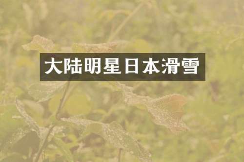 大陆明星日本滑雪