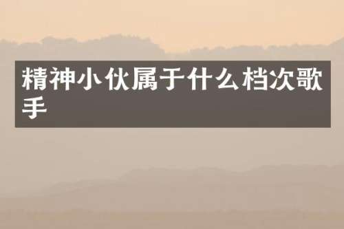 精神小伙属于什么档次歌手