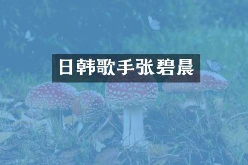 日韩歌手张碧晨