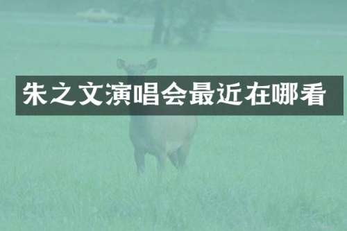 朱之文演唱会最近在哪看
