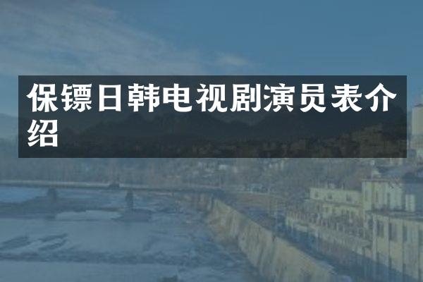 保镖日韩电视剧演员表介绍