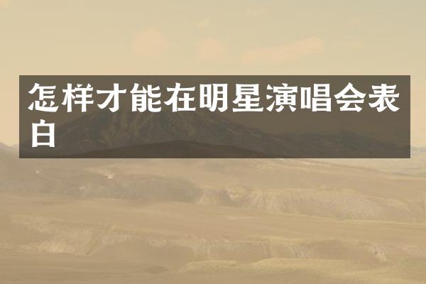 怎样才能在明星演唱会表白