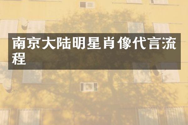 南京大陆明星肖像代言流程