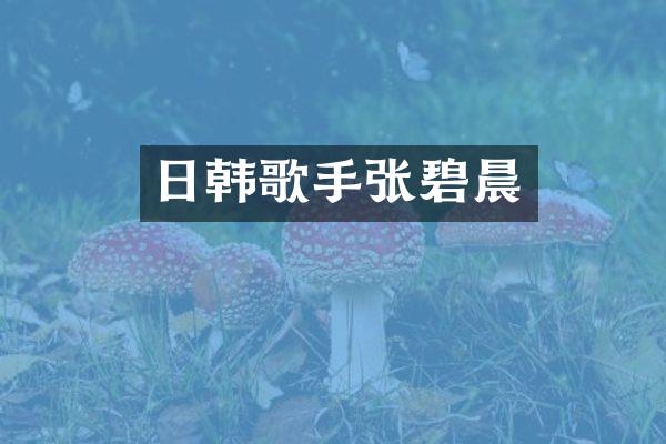 日韩歌手张碧晨