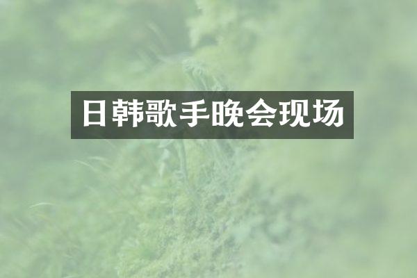 日韩歌手晚会现场