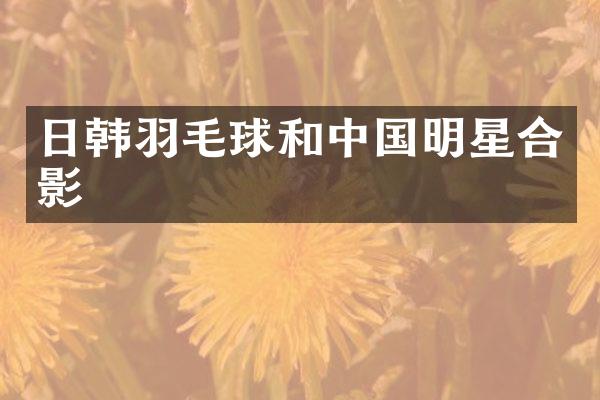 日韩羽毛球和中国明星合影