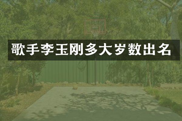 歌手李玉刚多大岁数出名