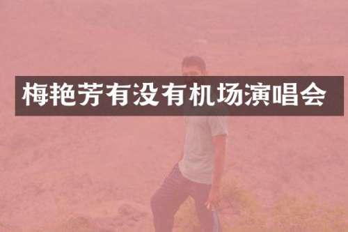 梅艳芳有没有机场演唱会