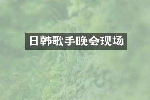 日韩歌手晚会现场