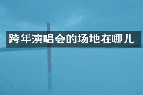 跨年演唱会的场地在哪儿