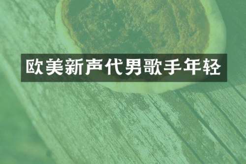 欧美新声代男歌手年轻