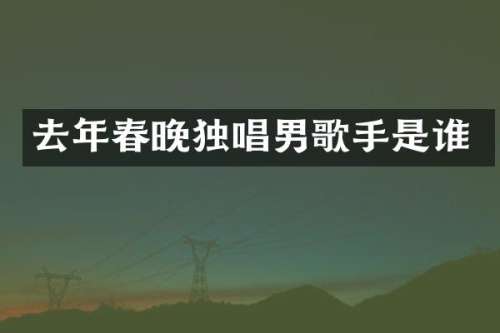去年独唱男歌手是谁