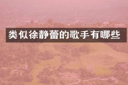 类似徐静蕾的歌手有哪些