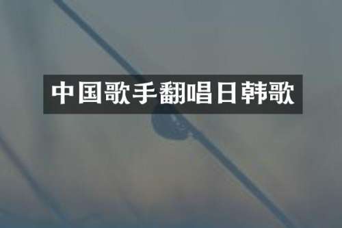 中国歌手翻唱日韩歌