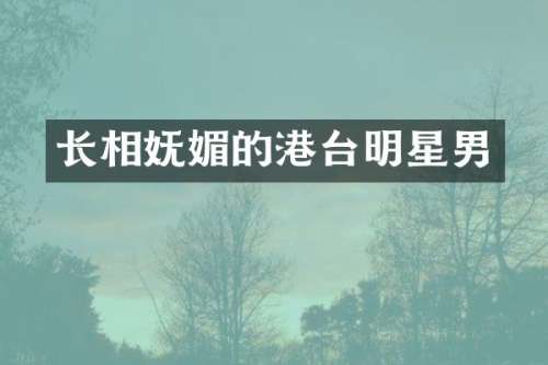长相妩媚的港台明星男