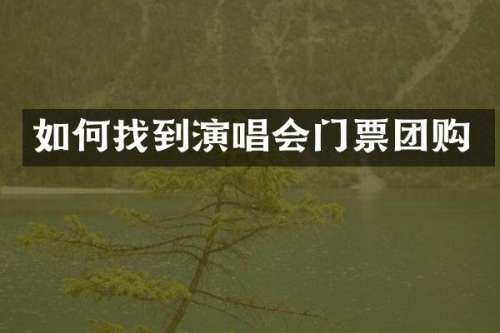 如何找到演唱会门票团购