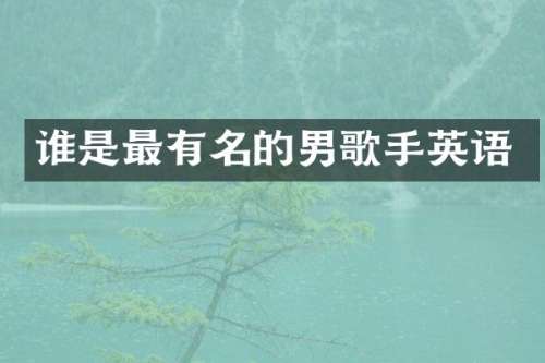 谁是最有名的男歌手英语