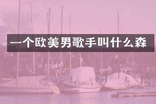 一个欧美男歌手叫什么森
