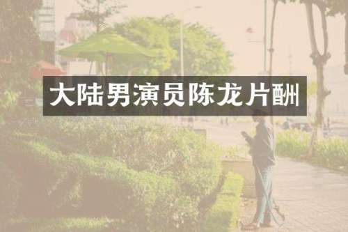 大陆男演员陈龙片酬