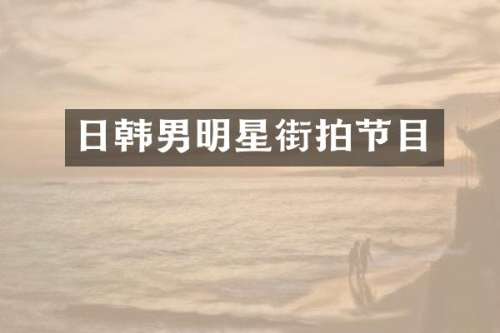 日韩男明星街拍节目