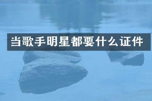 当歌手明星都要什么证件