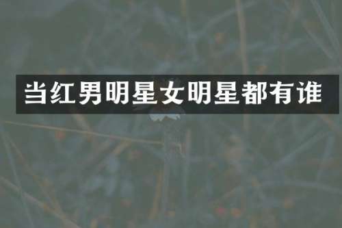 当红男明星女明星都有谁