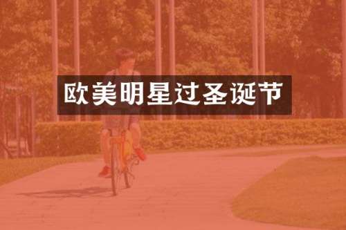 欧美明星过圣诞节